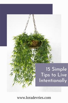 a plant hanging from a chain with the words 15 simple tips to live internationally