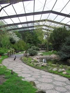 two birds are sitting on the grass near a pond and walkway in a park area