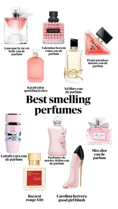 Good Scents, Adam Ellis, Good Girl Perfume, Perfume Hacks, Seductive Perfume, Fragrance Lab, Parfum Chanel, Perfumes For Women, Fragrances Perfume Woman