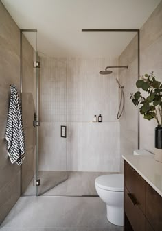 a bathroom with a white toilet sitting next to a walk in shower