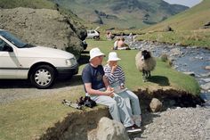 a man and woman sitting on the side of a river with sheep in the background