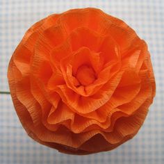 an orange flower is shown in this close up photo