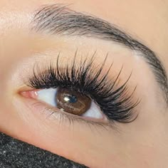 For lashmakers on Instagram: “@bri_thelashartist #lashextensions #eyelashes #eyelashextensions #extensions #lashes #calabasas #classiclashes #losangeles #striplashlook…” Lash Content, Lash Ideas, Lash Maps, Parts Of The Eye