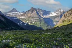 the mountains are covered in snow and green grass with wildflowers growing on them