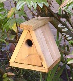 a wooden birdhouse sitting on top of a tree next to some leaves and plants