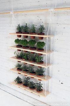 a shelf with plants on it that is hanging from the wall and has text reading diy projects to make you share display it's also