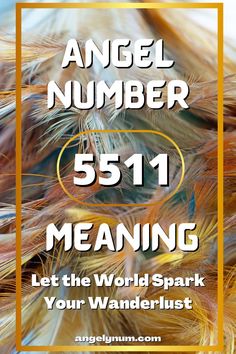 the words angel number 511 meang let the world spark your wanderlust