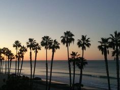 palm trees line the beach as the sun sets