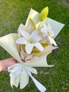 a hand holding a bouquet of flowers on top of a green grass covered park area