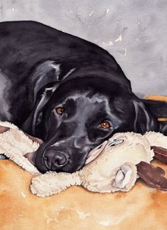 a painting of a black dog laying on the floor with a stuffed animal in its mouth