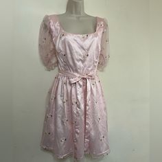 This Cute Babydoll Dress Has A Sheer Organza Top Layer With Embroidered Daisy Details And A Satin Ribbon Tied Around The Waist. Nwt Size 1x Spring Princesscore Short Sleeve Dress, Spring Short Sleeve Princesscore Dress, Princess Style Embroidered Summer Dress, Embroidered Princess Style Summer Dresses, Summer Princess Style Embroidered Dress, Pink Short Sleeve Princesscore Dress, Cute Dresses With Floral Embroidery, Pink Baby Doll Dress, Daisy Embroidery