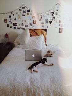 Clean Dorm Room, Fairy Lights Room, Cozy Small Bedrooms, Tumblr Room, Tumblr Rooms, Slaap Lekker, Casa Vintage, Two Cats, Room Goals