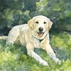 a watercolor painting of a dog laying in the grass