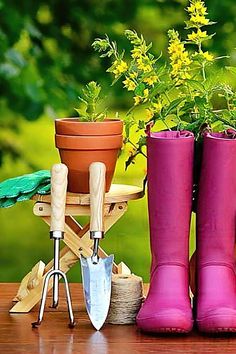 Garden Tools - We'll save you many hours of searching. Just click to visit and get what you need IMMEDIATELY! Garden Tool Organization, Chain Saw, Beautiful Outdoor Spaces, Garden Equipment, Garden Store, Garden Hand Tools, Organizing Systems, Perfect Garden, Into The Future