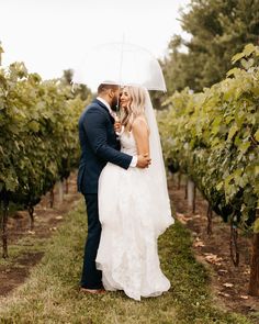 a bride and groom standing under an umbrella in the middle of rows of vines at their wedding