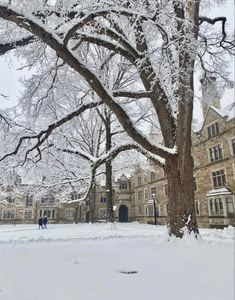 two people are walking through the snow in front of an old building with large trees