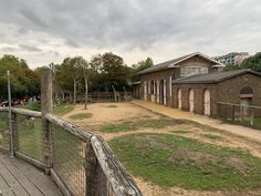 the zoo is full of animals and people looking at them from their fenced in area