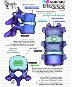 the diagram shows how to make an origami model with different shapes and sizes