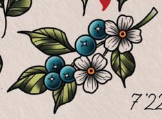 some flowers and leaves on a white background with red, green, and blue colors