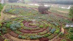 an aerial view of a vegetable garden in the middle of a field with trees and bushes