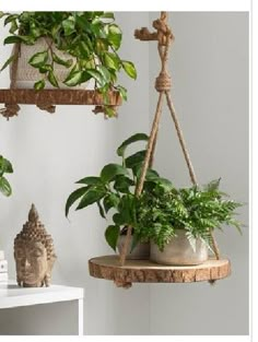 two hanging planters with plants in them on a shelf next to a white wall