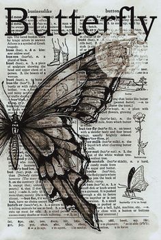 a black and white drawing of a butterfly on an old book page with words written below it