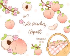 peaches clipart for scrapbooking, crafts and paper crafting with pink flowers