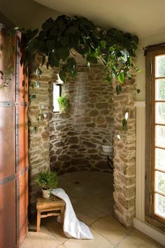 an open door leading to a bathroom with a plant growing on the wall above it