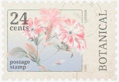 a postage stamp with pink flowers on it