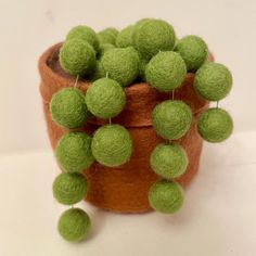 a potted plant filled with green pom - poms