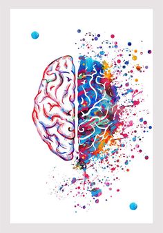 the two halves of a human brain are painted with colorful paint splattered on white paper