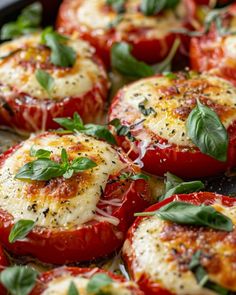 several stuffed tomatoes with cheese and herbs on top