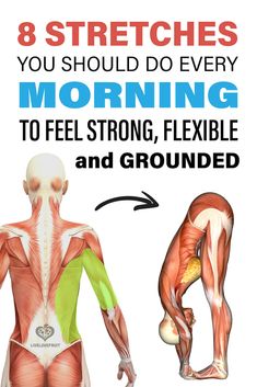 the muscles are shown with text that reads 8 stretches you should do every morning to feel strong, flexible and grounded