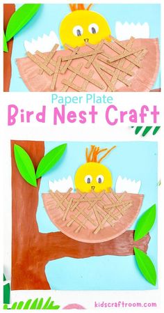 paper plate bird nest craft for kids