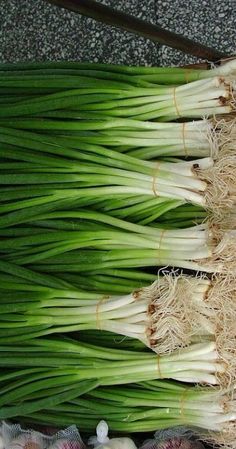 some green onions are laying on the ground