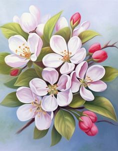 a painting of white and pink flowers on a blue background