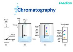 the diagram shows how to use chromatographs in beaks and flasks