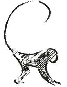 a black and white drawing of a dog with its head in the shape of a ball