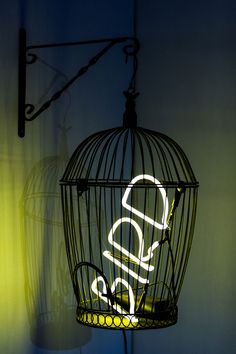 a bird in a cage that is lit up with the word love written on it