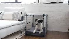 a dog sitting in its kennel on the floor next to a couch and window