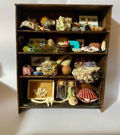 an old wooden shelf with shells and seashells on it