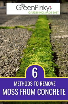 moss growing on the sidewalk with text overlay reading 6 method to remove moss from concrete