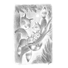 a pencil drawing of three kittens in a tree