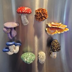 several different types of mushrooms are on display