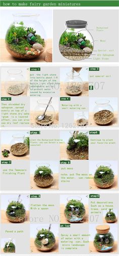 the instructions for how to make an aquarium with rocks and plants in glass bowls, including moss