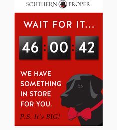 a black dog with a red bow tie and the words wait for it 46 00 42 we have something in store for you