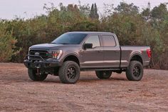 a gray truck parked on top of a dirt field next to some bushes and trees