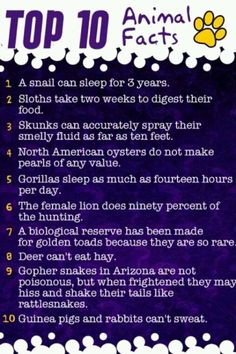 the top 10 animal fact for kids is shown in purple and white with an orange paw on