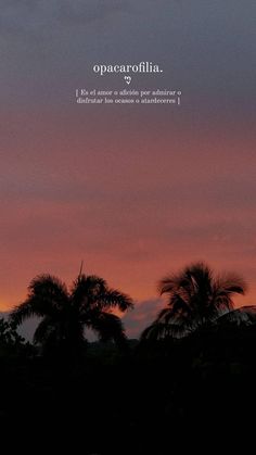 the sky is pink and purple with palm trees