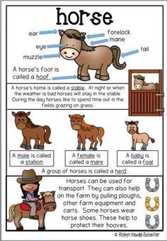 a poster describing how horses are used to teach children about the farm animals and their habitats